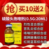 Цефалоспорин сульфат сульфат цефалоспорин инъекция свиньи, коров, овец, курицы и птицы дыхательных путей бактерий