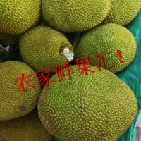 2022 Гаочжоу Специализированный фрукты Свежий ананас, джекфрут, сушеные бутоны, деревья, медовый ананас с влажным влажным влажным влажным влажным влажным влажным влажным влажным влажным