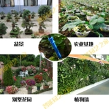 Растительный стеновой горшок, капельный меч, поливные цветы Автоматическая ирригационная капелька сад сад бонсай.