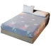 Tinh nhung một mảnh DN giường Simmons mat không trượt nắp bảo vệ để giữ cho mùa xuân ấm áp và mùa đông cộng với nhung bedspread thể được tùy chỉnh - Trang bị Covers Trang bị Covers