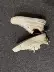 Kéo lại ngỗng không hợp lệ loạt giày vải 2019 bầu búp bê chung giày thủy triều bình thường phổ biến ngỗng hoang nam bay - Plimsolls