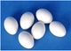 5 настоящих фальшивых яиц голубя