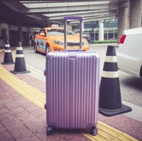 Богиня Пурпур [алюминиевая рама высокого уровня]