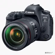 Máy ảnh kỹ thuật số DSLR không phải Canon EOS 6D Mark II Full Frame Máy ảnh DSLR chuyên nghiệp - SLR kỹ thuật số chuyên nghiệp