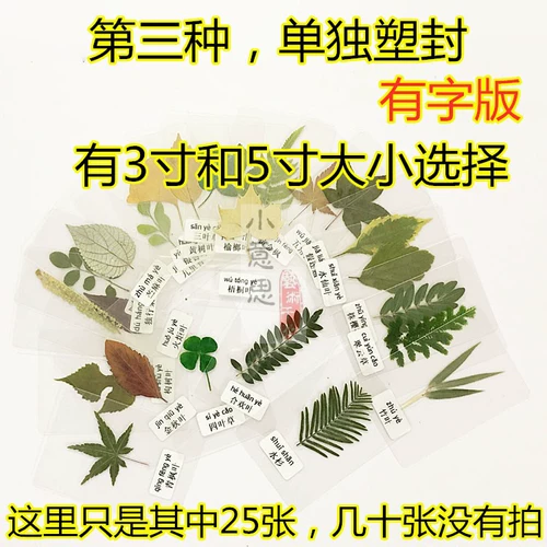 Школьный образец для раннего возраста, наклейки ручной работы, семейный стиль, в цветочек