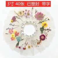 40 цветов (метки пластиковой ленты)