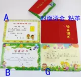 Сертификат сертификата сертификата Color Seal Seal Seal Demordation