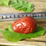 Специальная беременная женщина закуски Hetian Jujube 500G Бесплатная доставка