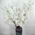 Mô phỏng hoa anh đào cưới cây anh đào lớn trong nhà phòng khách điều hòa không khí trần trang trí sàn nhựa giả hoa mây - Hoa nhân tạo / Cây / Trái cây bình hoa giả đẹp để phòng khách Hoa nhân tạo / Cây / Trái cây