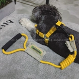 TouchDog Графин