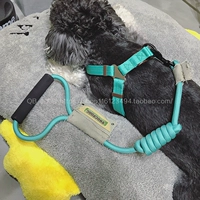 Тиффани Блю