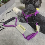 TouchDog Графин