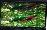 Случайная комбинация HDMI/VGA Painting 2 Высоко -определение экрана дивизионного делителя синтезирующее сплайзер синтетический сплайзер