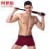 5 hộp quà tặng nam đồ lót nam boxer đầu thanh niên trung eo boxer phương thức quần thở quần short