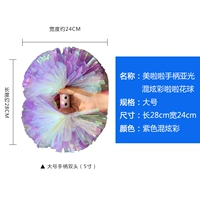 Красочный смешанный азиатский фиолетовый фиолетовый