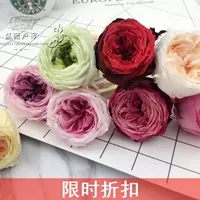 «Прозревание» импортировал японская земля Остин Роуз (одиночная цена) 4-5 см. Вечная жизнь цветок DIY