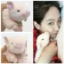 Heo mô phỏng dễ thương Hàn Quốc đích thực đồ chơi sang trọng màu hồng búp bê búp bê Song Yu với chú lợn may mắn - Đồ chơi mềm