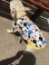 Pháp luật chiến đấu quần áo chó mùa xuân quần áo mèo Bago béo chó nửa tay áo hoạt hình vòng cổ áo Teddy quần áo thú cưng - Quần áo & phụ kiện thú cưng