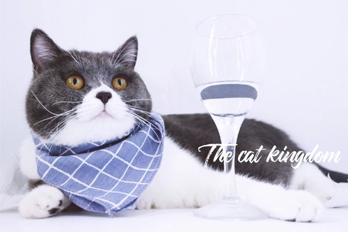 Слюнявчик, милый многоцветный шейный платок, нагрудник, шарф, делается под заказ