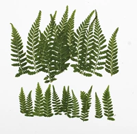 Темно-зеленый