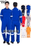 Zerdle 冬 00 100%хлопок соединял рабочую одежду, работающие работники, работающие по доставке работников