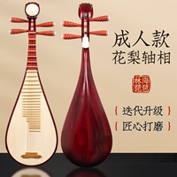 [Взрослый] Roseware Axis Pipa (подарочная сумка для пианино)