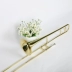 Đức Murphyt Alto trombone B phẳng số dài trombone nhạc cụ kéo nhạc cụ điện di vàng bảo hành ba năm - Nhạc cụ phương Tây Nhạc cụ phương Tây