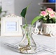 Hyacinth cụ thể thủy canh chai nhựa thủy canh nhỏ chai lục bình mới bình thủy tinh - Vase / Bồn hoa & Kệ chum sành trồng cây Vase / Bồn hoa & Kệ