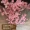 Mô phỏng hoa anh đào cưới cây anh đào lớn trong nhà phòng khách điều hòa không khí trần trang trí sàn nhựa giả hoa mây - Hoa nhân tạo / Cây / Trái cây
