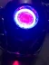 Châu âu phiên bản của nhỏ rùa vua xe điện đèn xenon đèn pha lắp ráp xe máy Q5 đôi ống kính ánh sáng mắt thiên thần mắt ma quỷ