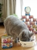 Mèo Mai Fudi yêu 80g * 24 lon Thái Lan nhập khẩu mèo ăn nhẹ mèo thức ăn ướt hộp mèo đóng hộp ưu đãi đặc biệt hạt cateye cho mèo có tốt không Đồ ăn nhẹ cho mèo