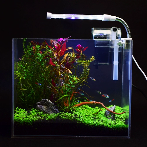 Восемь -дюймовые рыбные аквариумы рыбака рыба Рыба Повышение цветочного золота аквариум подвеска небольшая аквариум