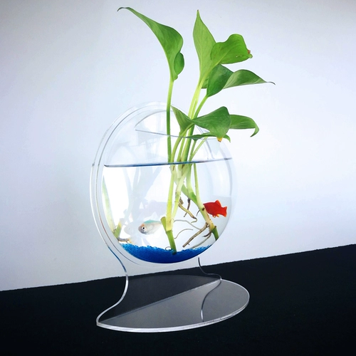 Акриловый рыболочный талочный офис на рабочем столе -типе маленький ковш -рыболочный танк гостиная Домохозяйство Маленькая аквариум экологическая ультра -белая травяная бак