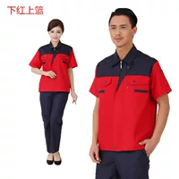 Блок красный верхний воротник орхидеи