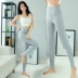 200 kg có thể mặc cộng với nhung dài quần phụ nữ mặc bông căng kích thước lớn eo cao mảnh duy nhất eo dày ấm quần