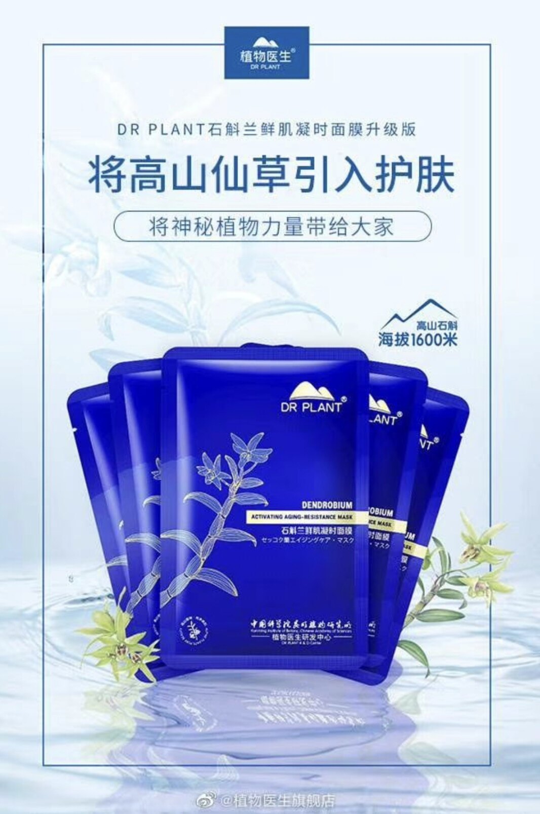 面膜官网