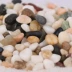 1000 gam fish tank đá đầy màu sắc sỏi năm màu đá màu đá cát nguồn cung cấp vườn chậu trang trí