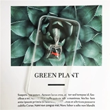 一只羊 Индивидуальная индивидуальность ветра небольшая золотая рыбка Coi Case 11promaxxx50 Reno4mate30p