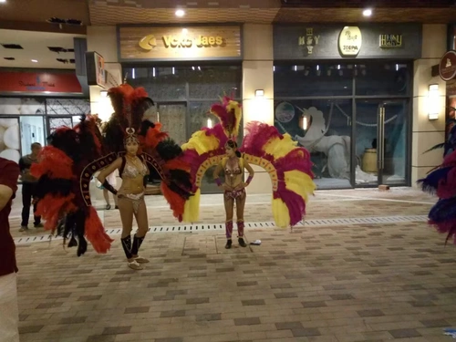 Camel Rental, верблюжья выставка Live Camel, чтобы продать взаимодействие команды верблюдов