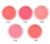 Full 9,9 nhân dân tệ trọn gói Evra nấm BB phấn má hồng Rouge để tạo cơ hồng với gương 5 màu