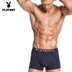 Playboy đồ lót nam boxer thanh niên thủy triều cotton đồ lót nam 100% cotton cotton gợi cảm quần bốn chân quần sịp siêu nhân Nam giới