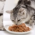 Cá nhỏ mèo khô đồ ăn nhẹ mèo mèo thức ăn bổ sung canxi thức ăn nhẹ cá nước ngọt mèo con 100g vận chuyển quốc gia Hạt Whiskas cho mèo con Đồ ăn nhẹ cho mèo