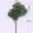 Mô phỏng vẻ đẹp cây thông Luo Han Song kim tuyết tùng cành cây lá bonsai chụp đạo cụ trang trí cây trang trí cảnh quan - Trang trí nội thất cách decor phòng ngủ