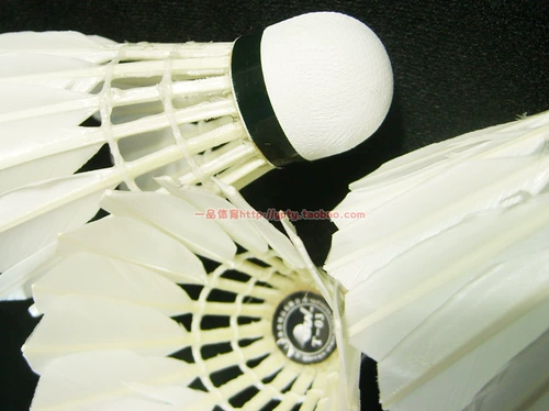 3 ведра бесплатных носков для доставки Sun Sun Badminton T-03 T03 T06 Игровой тренировочный клуб