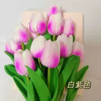 Светлый пурпурный тюльпан 2