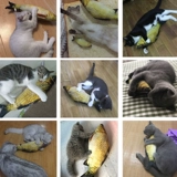 Реалистичная мятная игрушка, плюшевая подушка, кот, домашний питомец, котенок