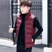 Vest nam xuân thu đông Phiên bản Hàn Quốc của xu hướng đẹp trai ấm áp vest ấm áp vest nam áo khoác cotton lụa - Dệt kim Vest
