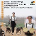 Thức ăn cho chó tự chế của bố đồng cỏ Gree Lingti Huibit Puppy Chó chăn nuôi lớn hơn Thức ăn cho chó 5 kg - Chó Staples