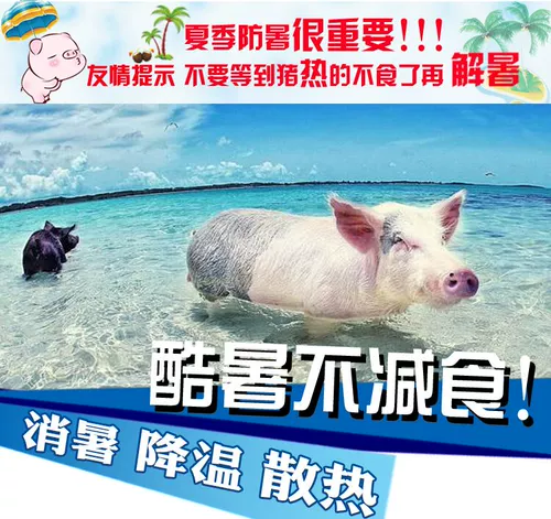 Beast Bingshuang VC облегчает тепло и жару курицы для утки, гуся, птицы, зверей витамина С для уменьшения тепла и облегчения тепла VC