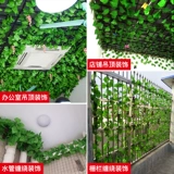 Моделирование виноградного листья поддельное цветочное потолочное потолок Расти
